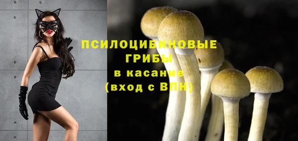 ГАЛЛЮЦИНОГЕННЫЕ ГРИБЫ Осташков