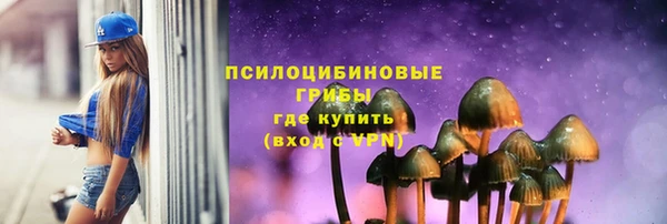 ГАЛЛЮЦИНОГЕННЫЕ ГРИБЫ Осташков