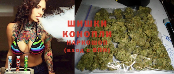 бошки Осинники