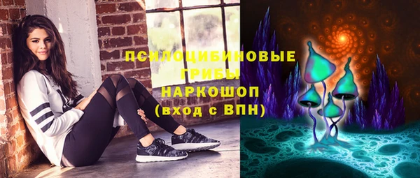 бошки Осинники