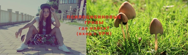 бошки Осинники