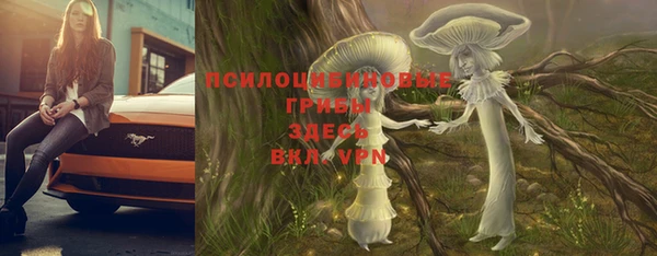 ГАЛЛЮЦИНОГЕННЫЕ ГРИБЫ Осташков